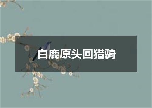 白鹿原头回猎骑