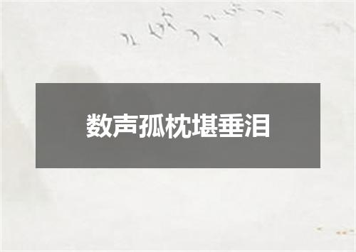 数声孤枕堪垂泪