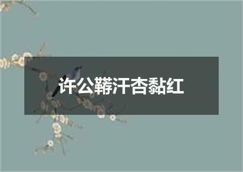 许公鞯汗杏黏红