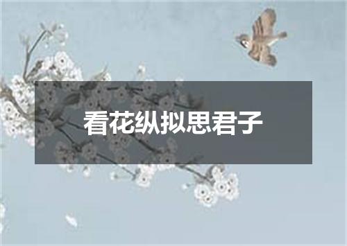 看花纵拟思君子