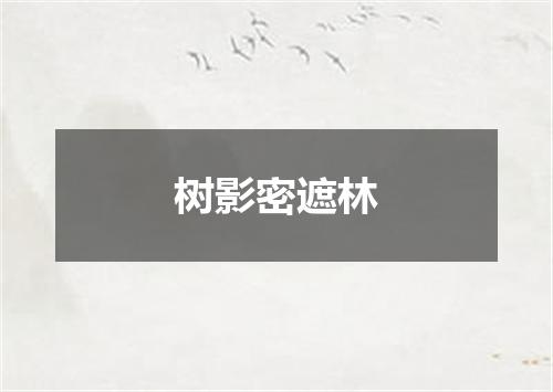 树影密遮林