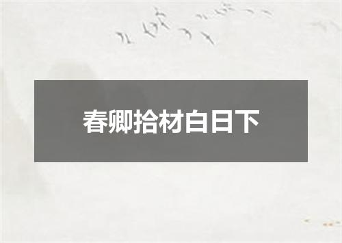 春卿拾材白日下