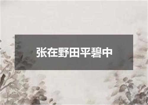 张在野田平碧中