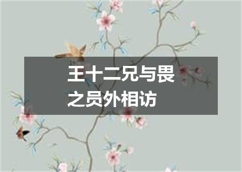 王十二兄与畏之员外相访