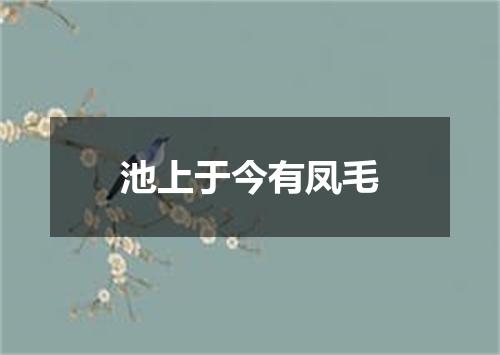 池上于今有凤毛