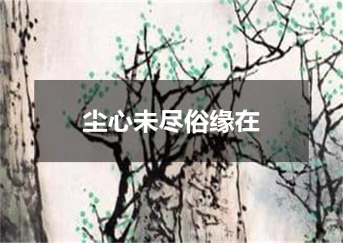 尘心未尽俗缘在