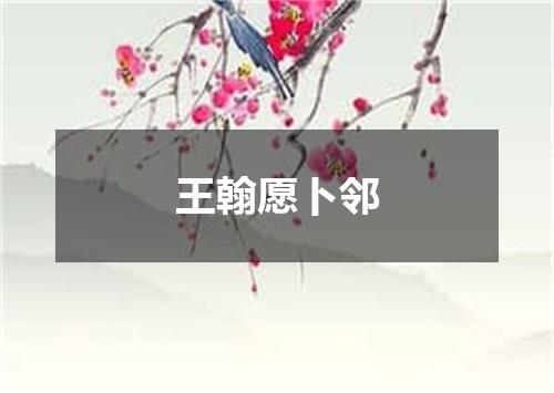 王翰愿卜邻