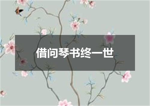 借问琴书终一世