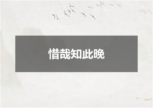 惜哉知此晚