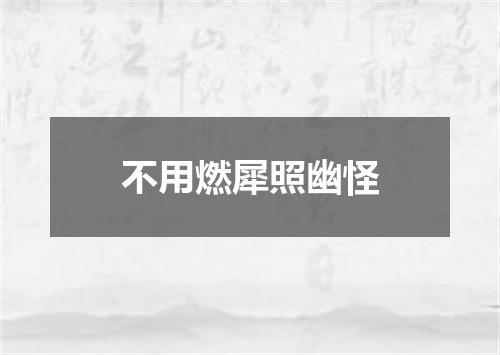不用燃犀照幽怪
