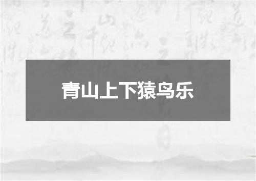 青山上下猿鸟乐