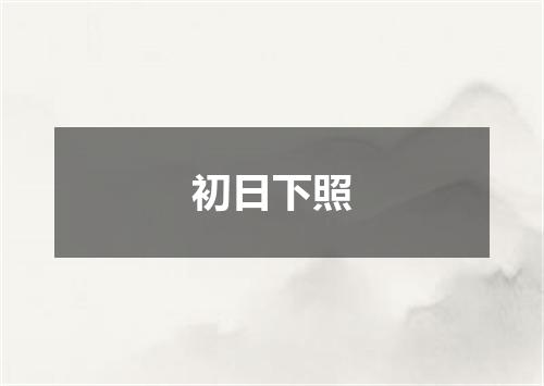 初日下照