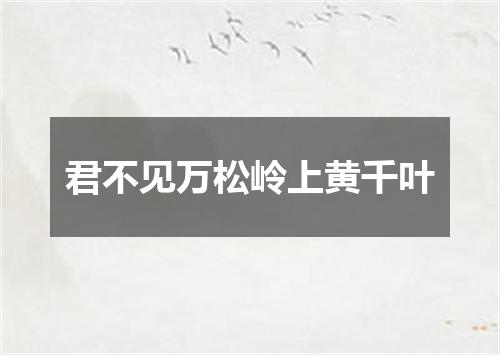 君不见万松岭上黄千叶