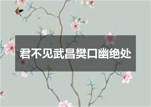 君不见武昌樊口幽绝处