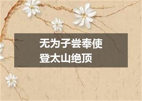 无为子尝奉使登太山绝顶