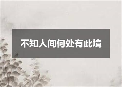 不知人间何处有此境