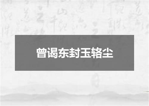 曾谒东封玉辂尘