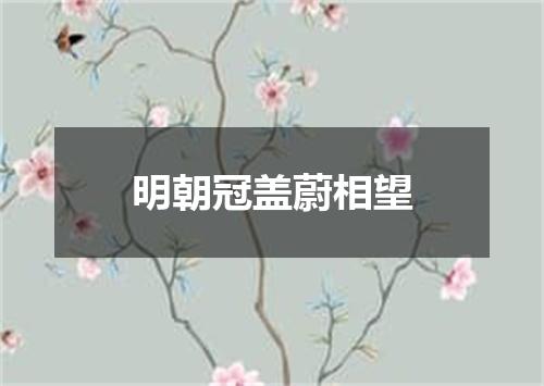 明朝冠盖蔚相望