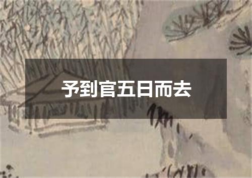 予到官五日而去