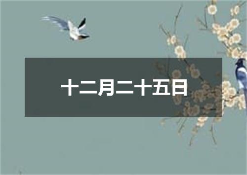 十二月二十五日