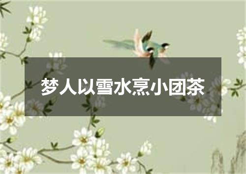 梦人以雪水烹小团茶