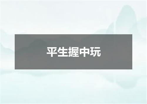 平生握中玩
