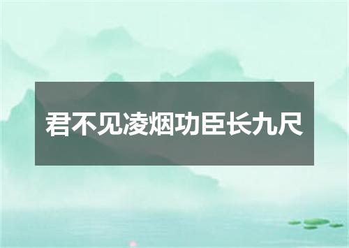 君不见凌烟功臣长九尺