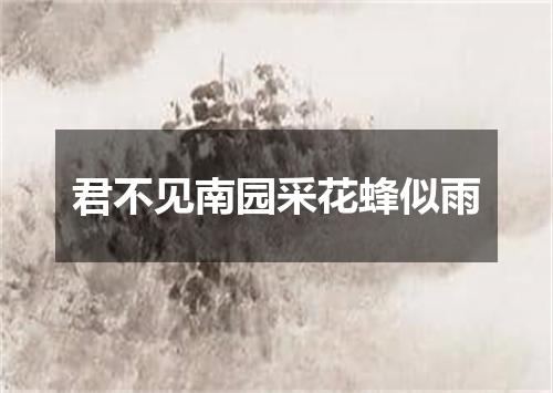 君不见南园采花蜂似雨