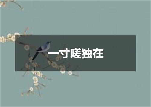 一寸嗟独在