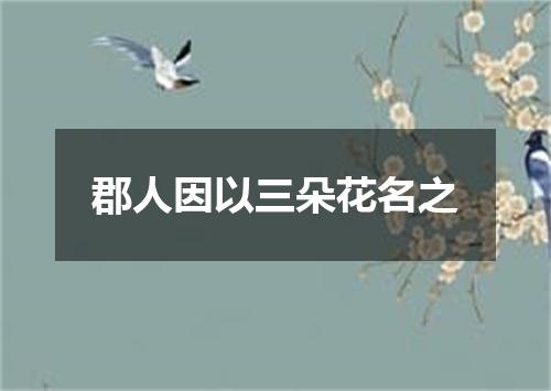 郡人因以三朵花名之