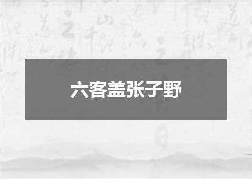 六客盖张子野