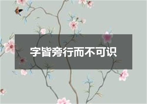 字皆旁行而不可识