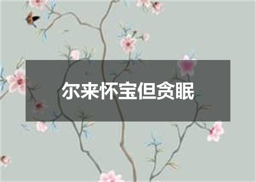 尔来怀宝但贪眠