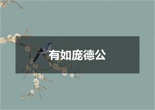 有如庞德公