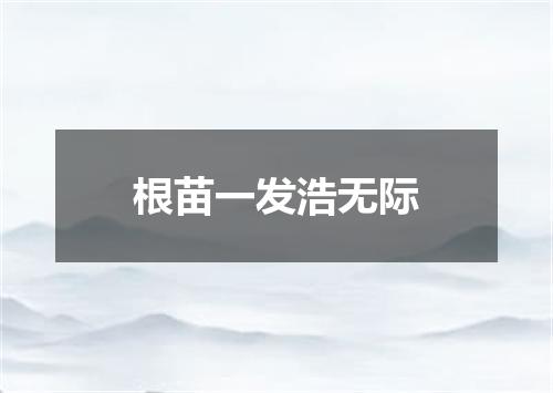 根苗一发浩无际