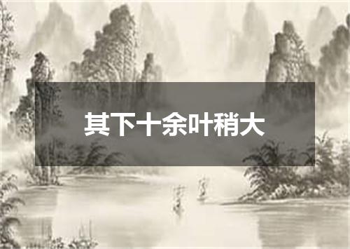 其下十余叶稍大