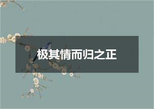 极其情而归之正
