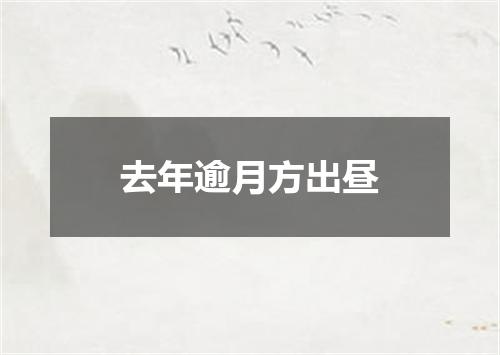 去年逾月方出昼