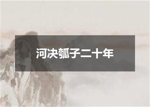 河决瓠子二十年