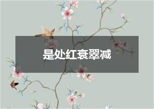 是处红衰翠减