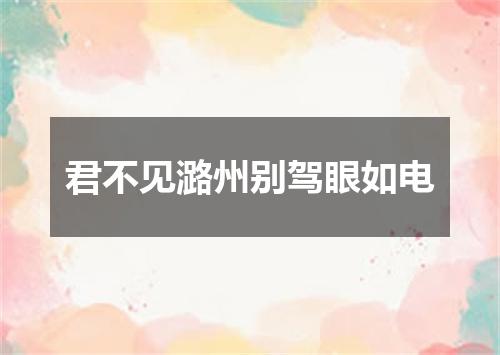 君不见潞州别驾眼如电