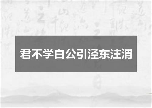 君不学白公引泾东注渭