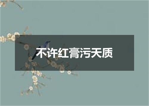 不许红膏污天质