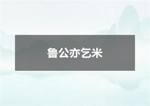 鲁公亦乞米