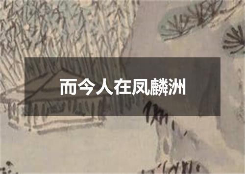 而今人在凤麟洲