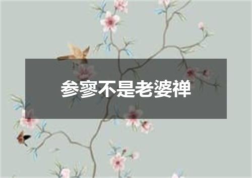 参寥不是老婆禅
