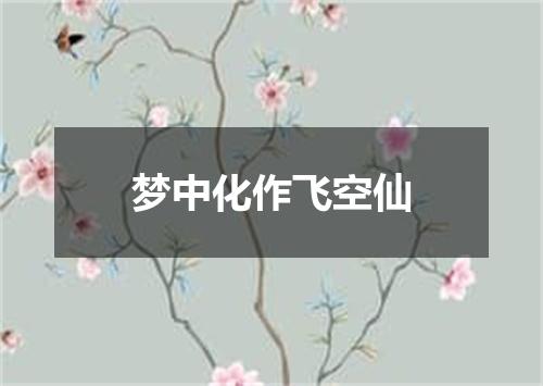 梦中化作飞空仙