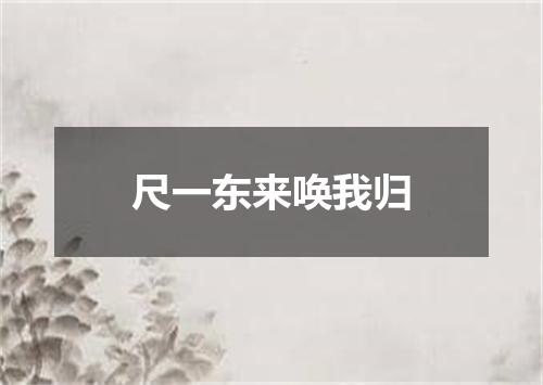 尺一东来唤我归