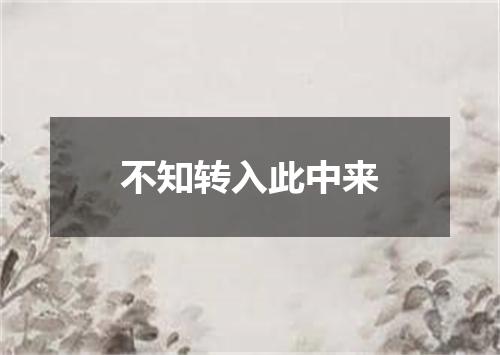 不知转入此中来