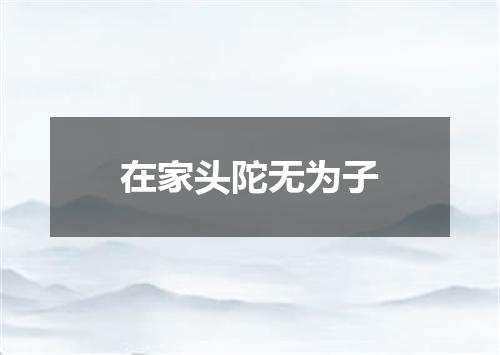 在家头陀无为子
